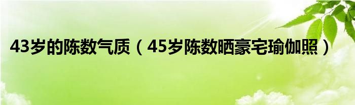 43岁的陈数气质（45岁陈数晒豪宅瑜伽照）