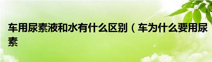 车用尿素液和水有什么区别（车为什么要用尿素