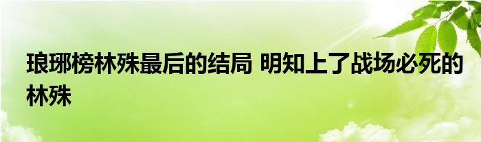 琅琊榜林殊最后的结局 明知上了战场必死的林殊