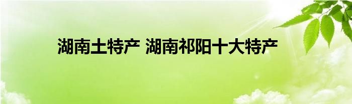 湖南土特产 湖南祁阳十大特产