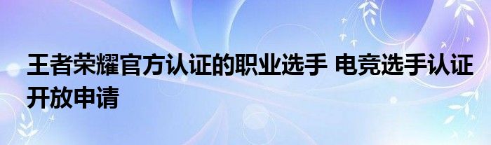 王者荣耀官方认证的职业选手 电竞选手认证开放申请