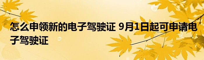 怎么申领新的电子驾驶证 9月1日起可申请电子驾驶证