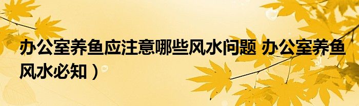 办公室养鱼应注意哪些风水问题 办公室养鱼风水必知）