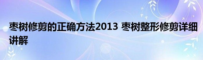 枣树修剪的正确方法2013 枣树整形修剪详细讲解