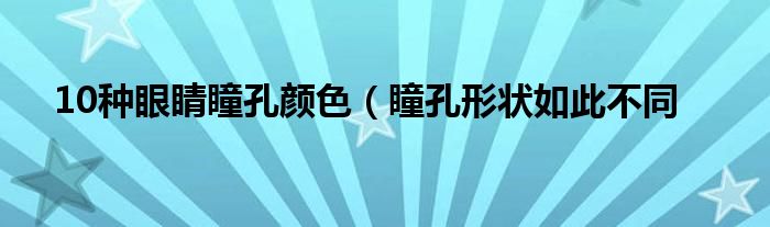 10种眼睛瞳孔颜色（瞳孔形状如此不同