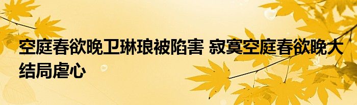 空庭春欲晚卫琳琅被陷害 寂寞空庭春欲晚大结局虐心