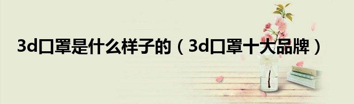 3d口罩是什么样子的（3d口罩十大品牌）