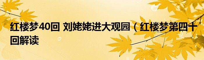 红楼梦40回 刘姥姥进大观园（红楼梦第四十回解读