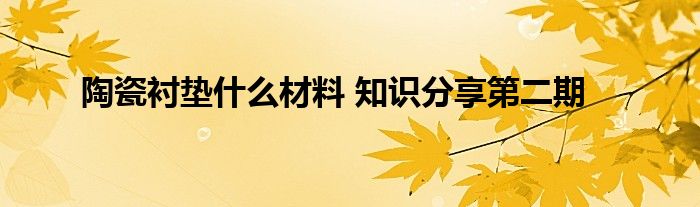 陶瓷衬垫什么材料 知识分享第二期