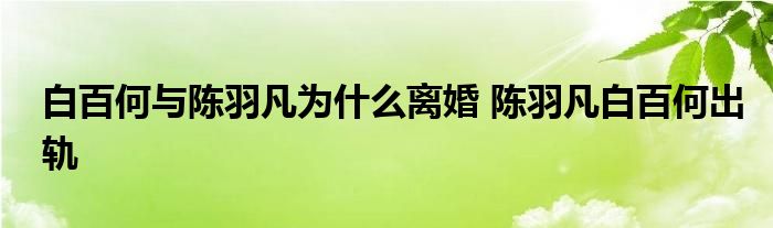 白百何与陈羽凡为什么离婚 陈羽凡白百何出轨