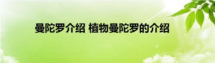 曼陀罗介绍 植物曼陀罗的介绍