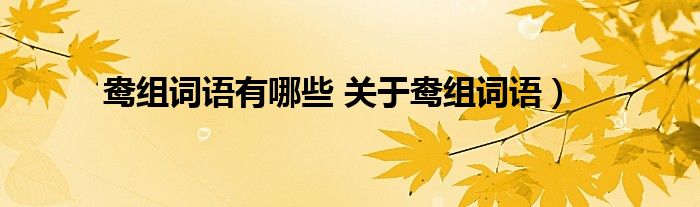 鸯组词语有哪些 关于鸯组词语）