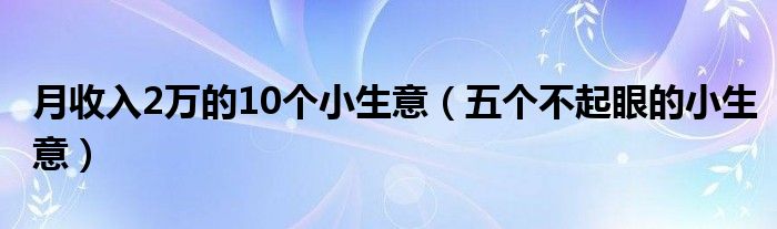 月收入2万的10个小生意（五个不起眼的小生意）