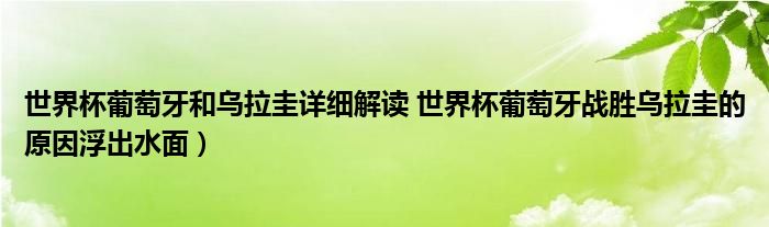 世界杯葡萄牙和乌拉圭详细解读 世界杯葡萄牙战胜乌拉圭的原因浮出水面）