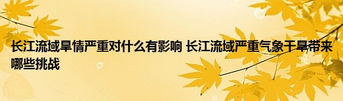 长江流域旱情严重对什么有影响 长江流域严重气象干旱带来哪些挑战