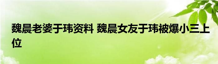 魏晨老婆于玮资料 魏晨女友于玮被爆小三上位