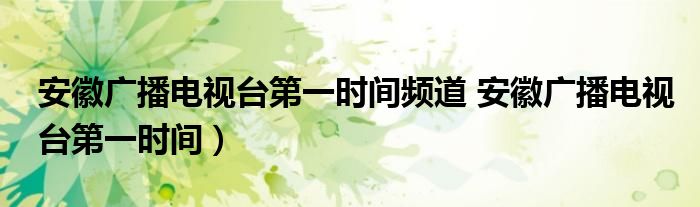 安徽广播电视台第一时间频道 安徽广播电视台第一时间）