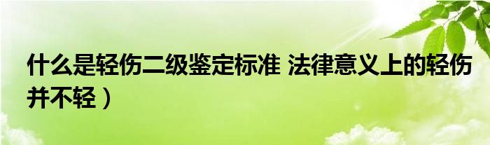 什么是轻伤二级鉴定标准 法律意义上的轻伤并不轻）