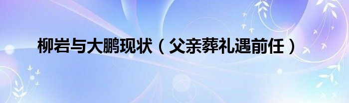 柳岩与大鹏现状（父亲葬礼遇前任）