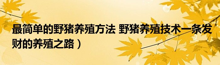 最简单的野猪养殖方法 野猪养殖技术一条发财的养殖之路）