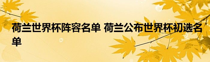 荷兰世界杯阵容名单 荷兰公布世界杯初选名单