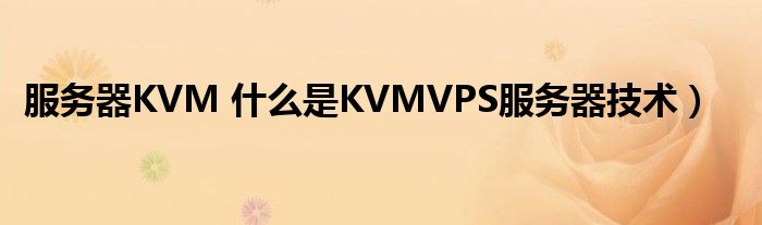 服务器KVM 什么是KVMVPS服务器技术）