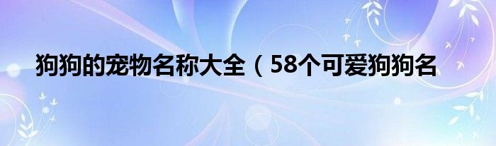 狗狗的宠物名称大全（58个可爱狗狗名