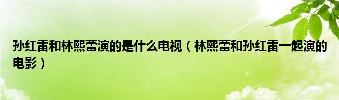 孙红雷和林熙蕾演的是什么电视（林熙蕾和孙红雷一起演的电影）