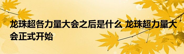 龙珠超各力量大会之后是什么 龙珠超力量大会正式开始