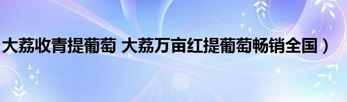 大荔收青提葡萄 大荔万亩红提葡萄畅销全国）