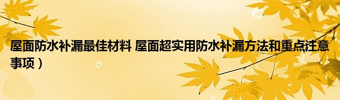 屋面防水补漏最佳材料 屋面超实用防水补漏方法和重点注意事项）