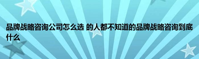 品牌战略咨询公司怎么选 的人都不知道的品牌战略咨询到底什么