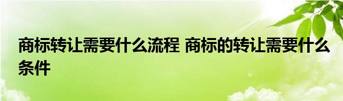 商标转让需要什么流程 商标的转让需要什么条件