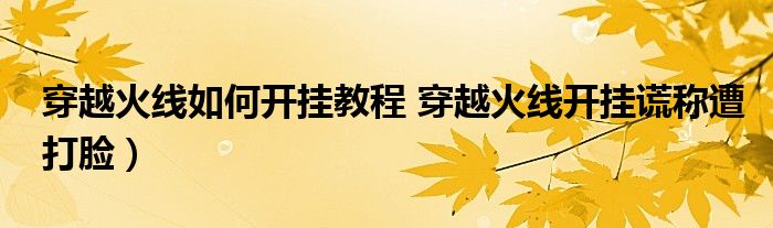 穿越火线如何开挂教程 穿越火线开挂谎称遭打脸）