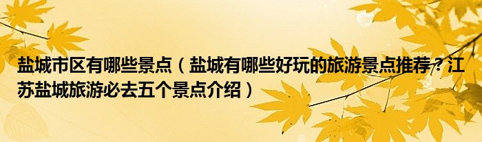 盐城市区有哪些景点（盐城有哪些好玩的旅游景点推荐？江苏盐城旅游必去五个景点介绍）