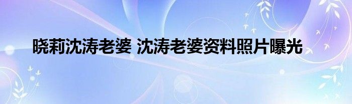 晓莉沈涛老婆 沈涛老婆资料照片曝光