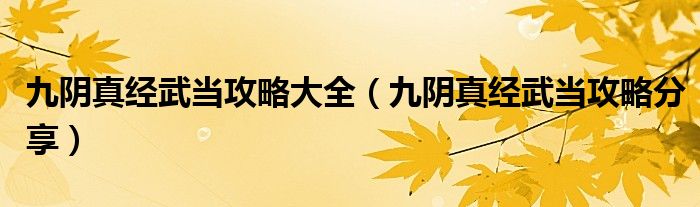 九阴真经武当攻略大全（九阴真经武当攻略分享）