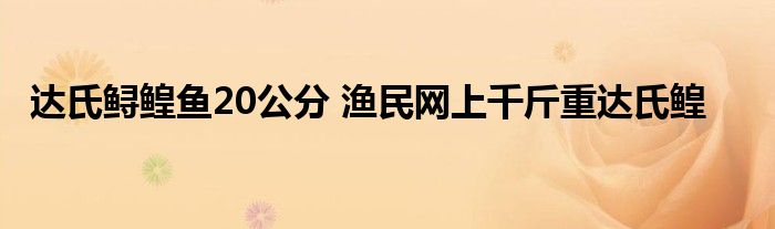 达氏鲟鳇鱼20公分 渔民网上千斤重达氏鳇