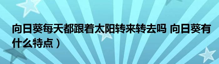 向日葵每天都跟着太阳转来转去吗 向日葵有什么特点）