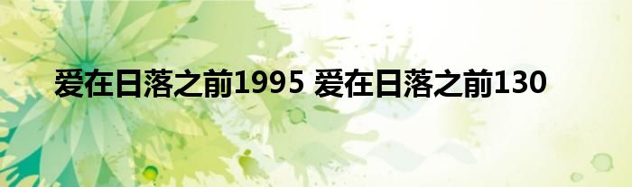 爱在日落之前1995 爱在日落之前130