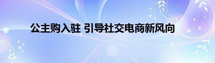 公主购入驻 引导社交电商新风向