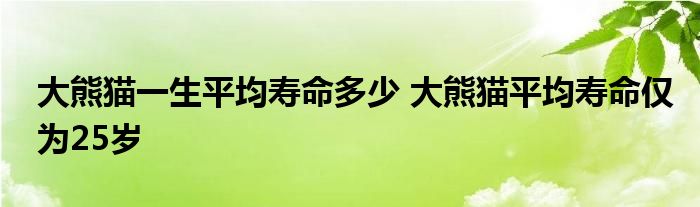 大熊猫一生平均寿命多少 大熊猫平均寿命仅为25岁