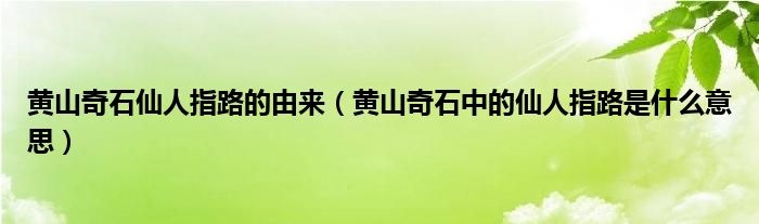 黄山奇石仙人指路的由来（黄山奇石中的仙人指路是什么意思）