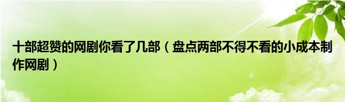 十部超赞的网剧你看了几部（盘点两部不得不看的小成本制作网剧）