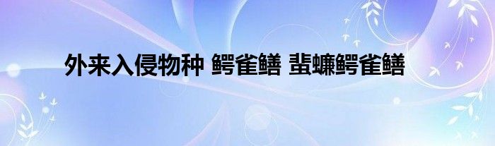 外来入侵物种 鳄雀鳝 蜚蠊鳄雀鳝