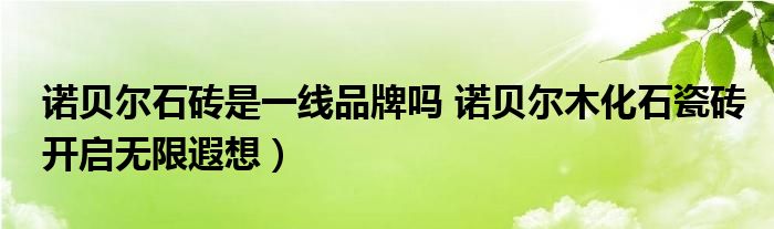 诺贝尔石砖是一线品牌吗 诺贝尔木化石瓷砖开启无限遐想）