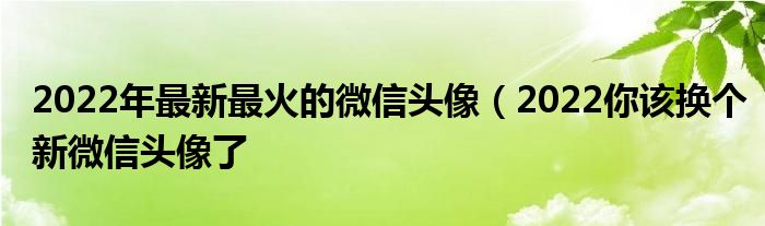 2022年最新最火的微信头像（2022你该换个新微信头像了