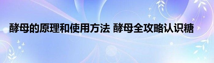 酵母的原理和使用方法 酵母全攻略认识糖