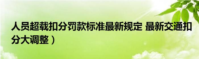 人员超载扣分罚款标准最新规定 最新交通扣分大调整）