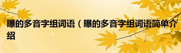 曝的多音字组词语（曝的多音字组词语简单介绍